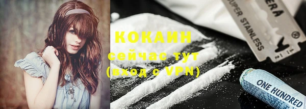 apvp Семилуки