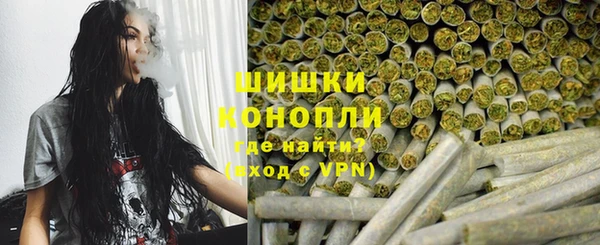 шишки Аркадак