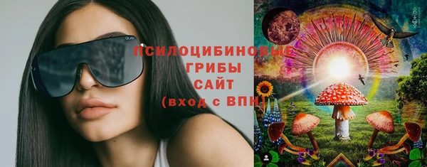 ГАЛЛЮЦИНОГЕННЫЕ ГРИБЫ Баксан