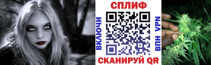 даркнет сайт  Моршанск  МАРИХУАНА сатива 